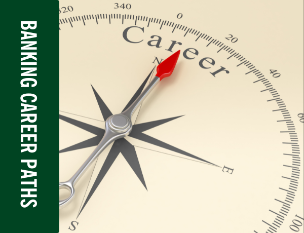 Your Career Options