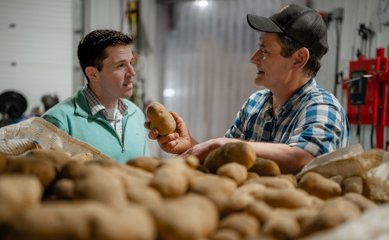 Potato Field
